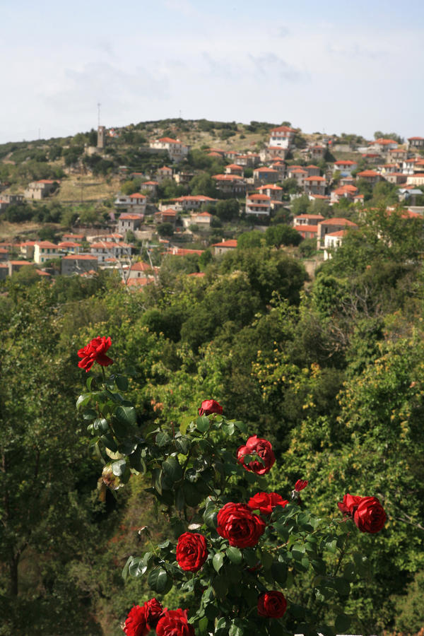 Arhontiko Parnona Hotel Karyes Exterior foto
