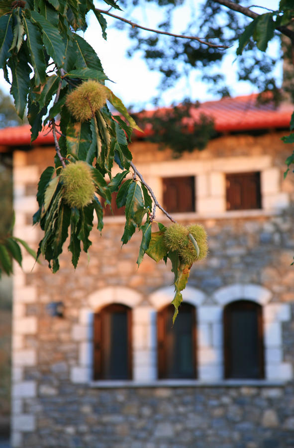 Arhontiko Parnona Hotel Karyes Exterior foto